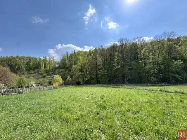 Grundstück kaufen in Klosterneuburg, Niederösterreich
