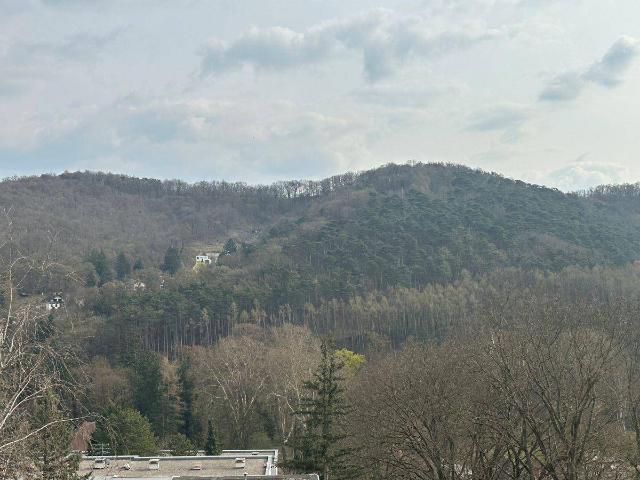 Apartment kaufen in Klosterneuburg, Niederösterreich