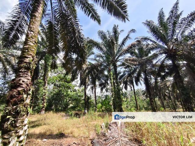Shop for sale in Kluang, Johor