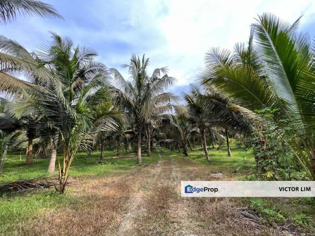 Shop for sale in Kluang