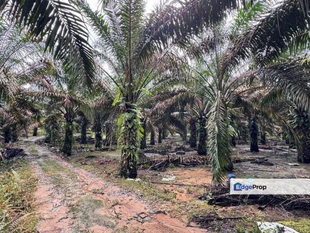 Shop for sale in Kluang
