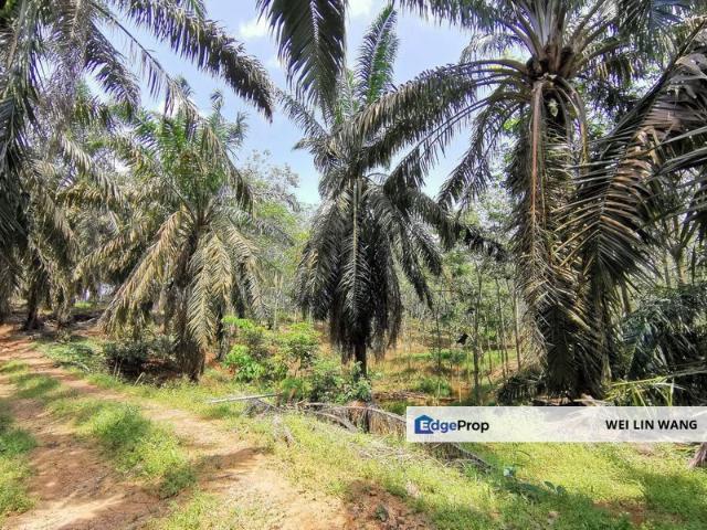 Shop for sale in Kluang