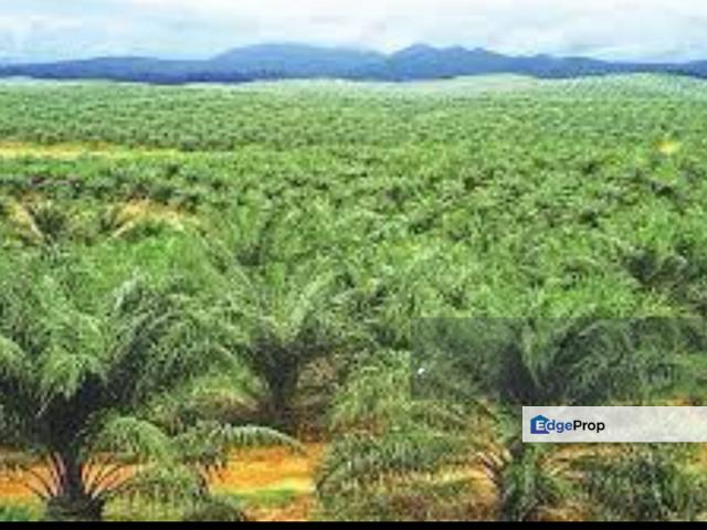 Shop for sale in Kluang, Johor