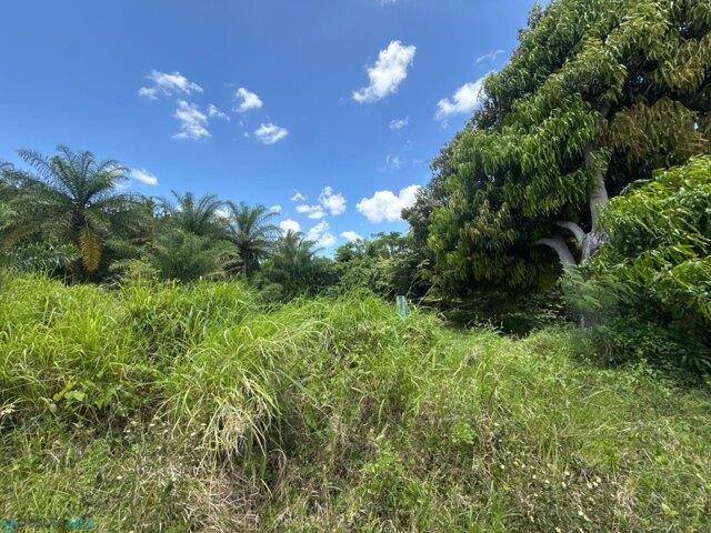 Land for sale