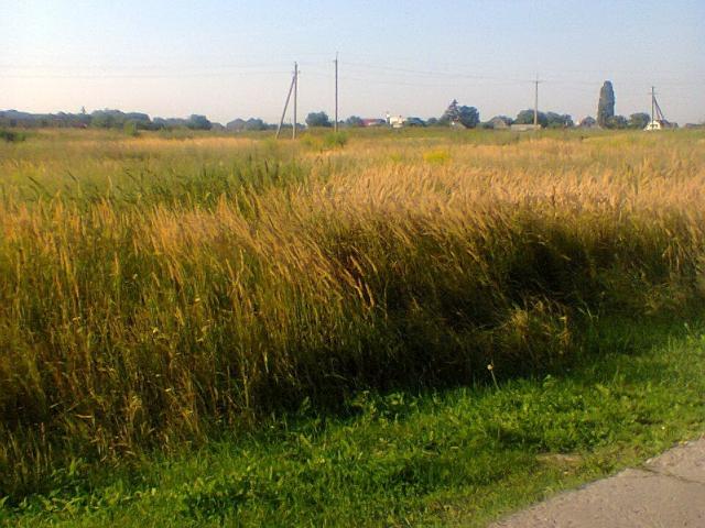 Участок аренда в Калите, Винницкой области