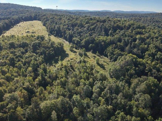 Land for sale in Kingsley, Pennsylvania
