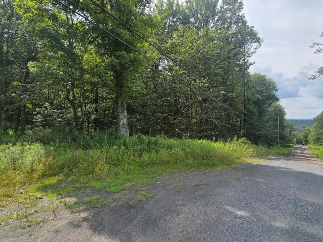 Land for sale in Roscoe, New York