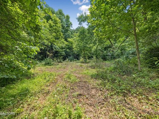 Farm for sale in Tennessee