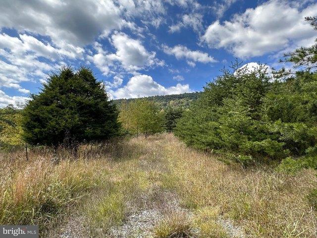 Land for sale in Keyser, West Virginia