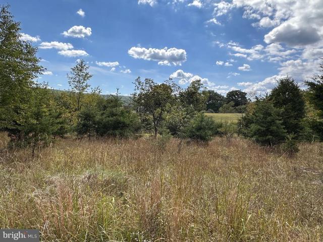Land for sale in Keyser, West Virginia
