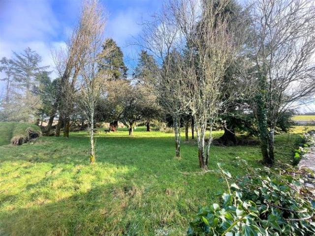 Property for sale in Lecarrow, Connacht