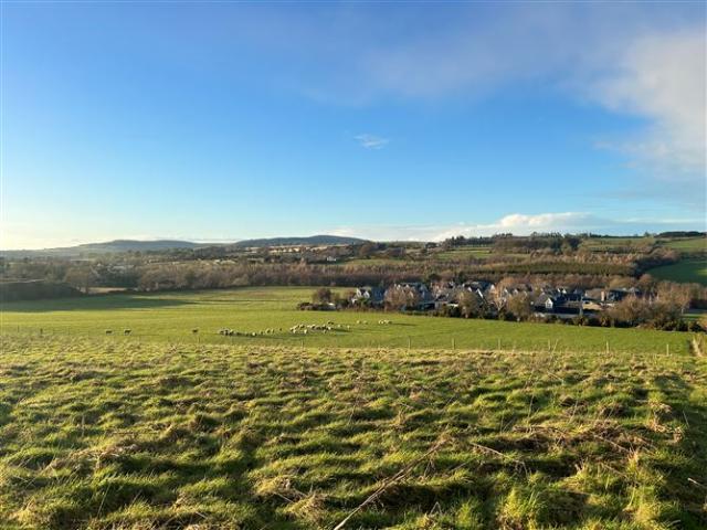 Farm for sale in Carnew
