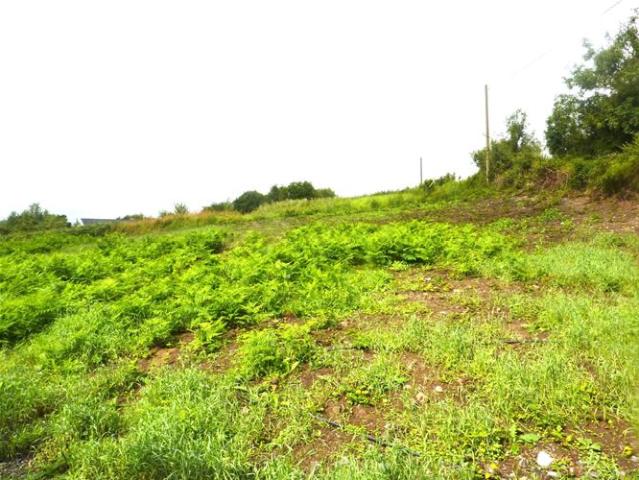 Detached House for sale in Mayo, Connacht