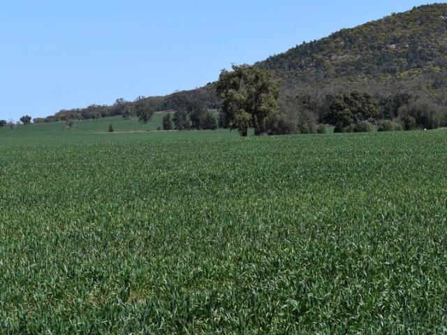 Cottage for sale in Yarrabandai, New South Wales
