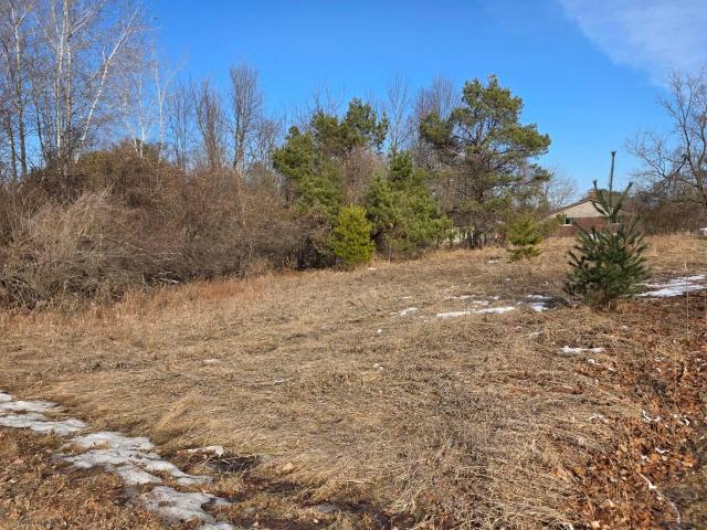 Land for sale in Gresham, Wisconsin