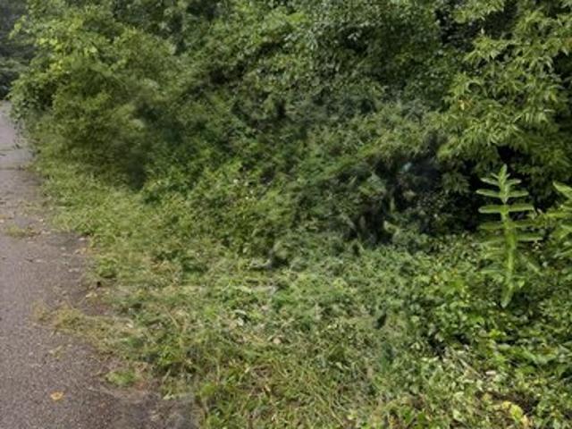Land for sale in Battle Creek, Michigan