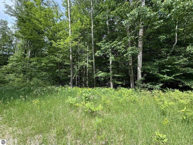 Land for sale in Leroy, Michigan