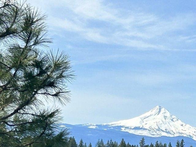 Land for sale in Lyle, Washington