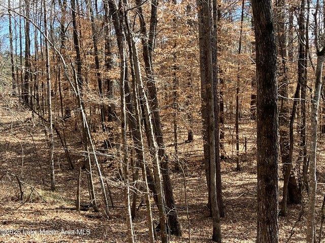 Land for sale in Tallapoosa, Alabama