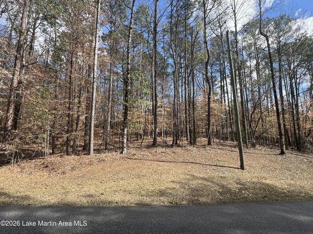 Land for sale in Tallapoosa, Alabama
