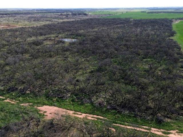 Farm for sale in Archer, Texas