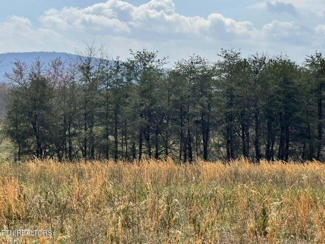 Land for sale in Tennessee