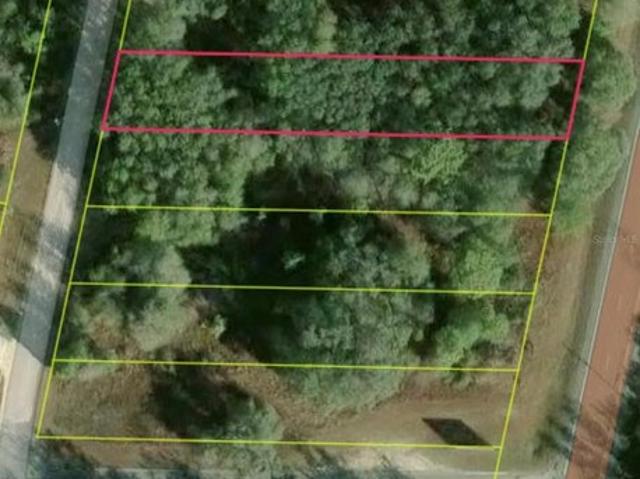 Land for sale in Webster, Florida