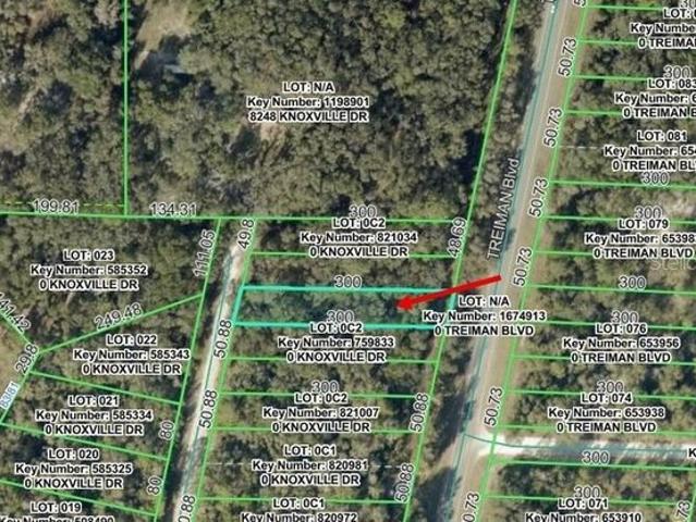 Land for sale in Webster, Florida