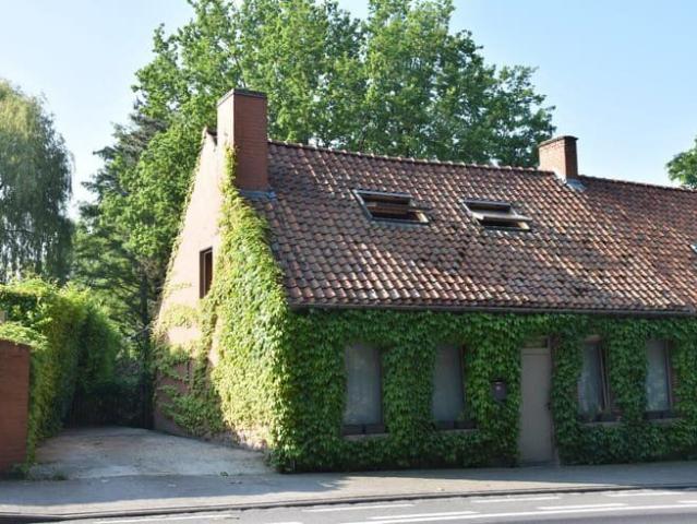 Maison location à Courtrai, West-Vlaanderen