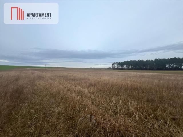 Grunt na sprzedaż w Kołaczkowo, Kujawsko-pomorskie