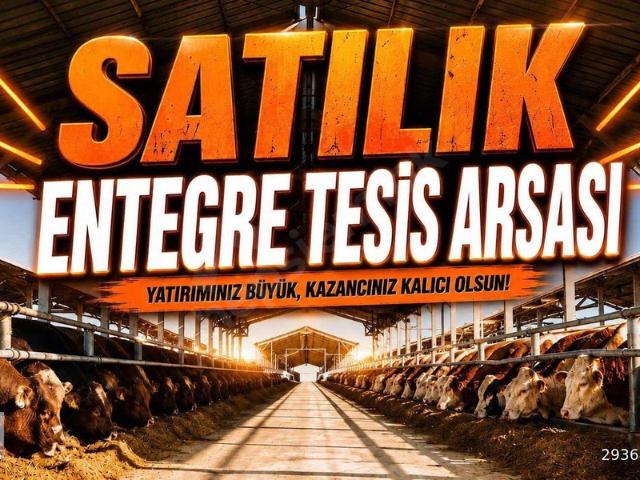 Bulgurcu, Şabanözü içerisinde satılık Dükkan