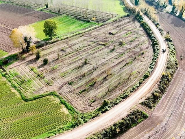 Mağara, Söğütlü içerisinde satılık Arsa