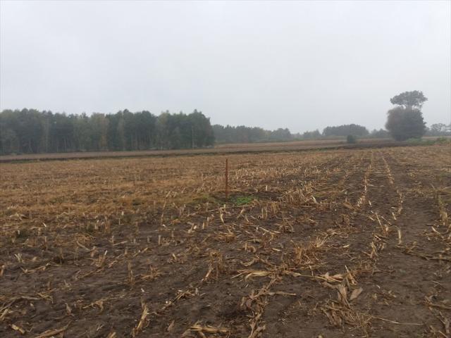 Grunt na sprzedaż w Koło, Wielkopolskie