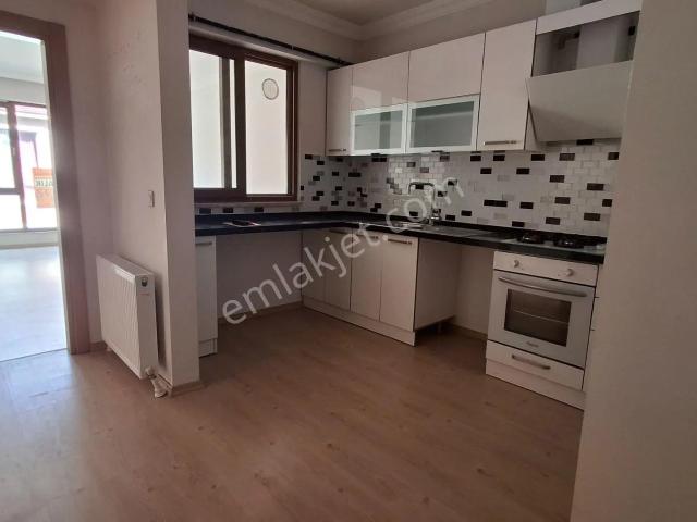 Düzce Merkez, Düzce içerisinde kiralık mülk