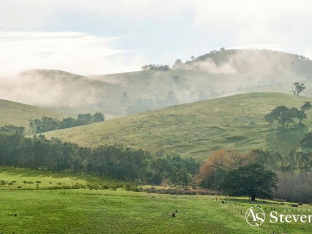 Cottage for sale in Tooborac, Victoria