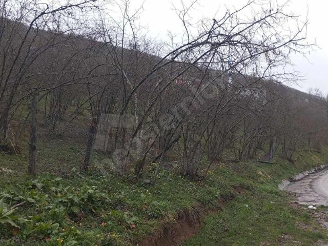 Kocaali, Sakarya içerisinde satılık mülk