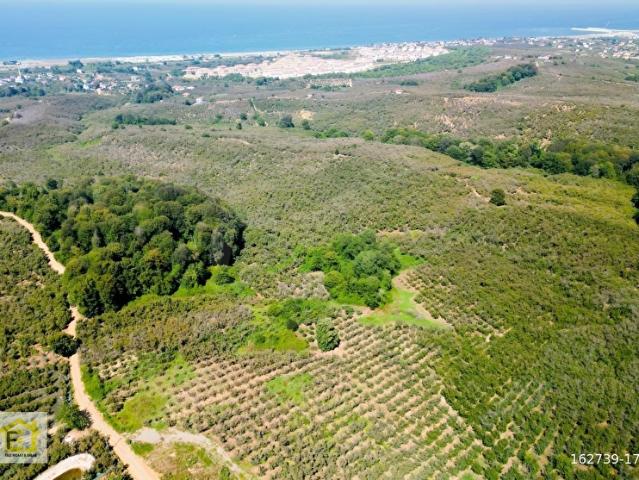 Kocaali, Sakarya içerisinde satılık mülk