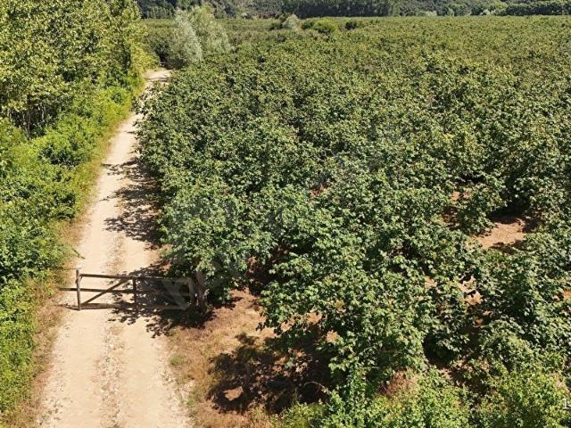 Kocaali, Sakarya içerisinde satılık mülk
