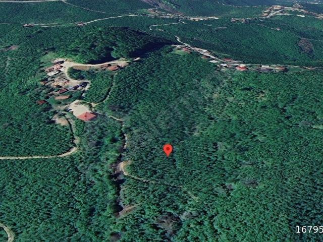 Kocaali, Sakarya içerisinde satılık mülk