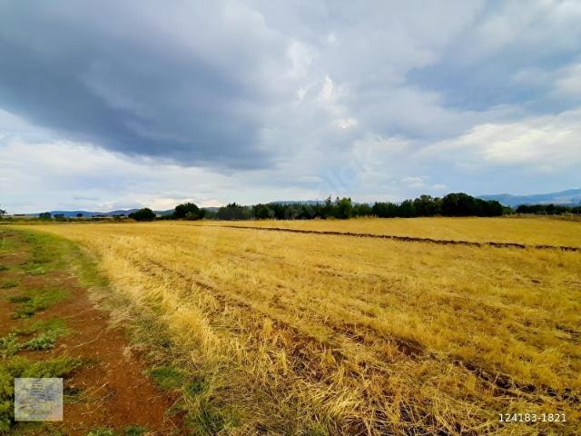 Tokat Merkez, Tokat içerisinde satılık Arsa