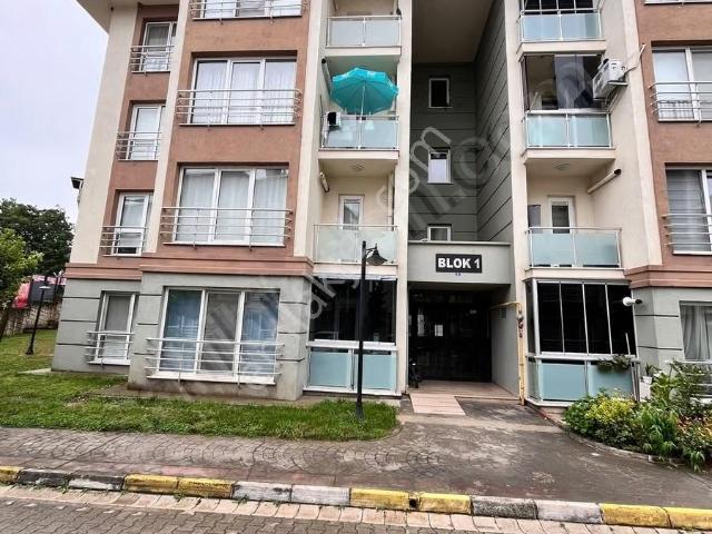 Başiskele, Kocaeli içerisinde kiralık mülk