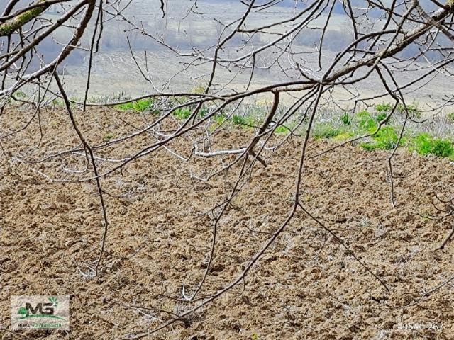 Kandira, Kocaeli içerisinde satılık Arsa