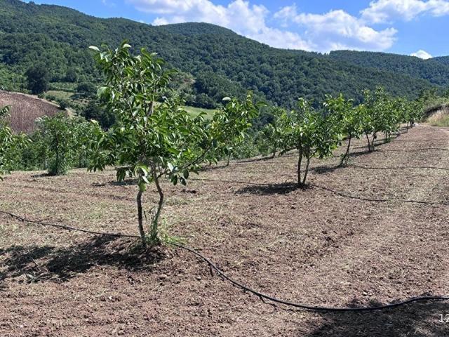 Karamürsel, Kocaeli içerisinde satılık mülk