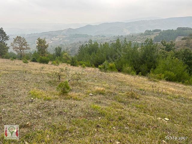 Karamürsel, Kocaeli içerisinde satılık Arsa