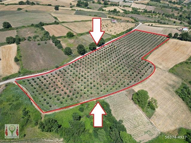 Karamürsel, Kocaeli içerisinde satılık Arsa