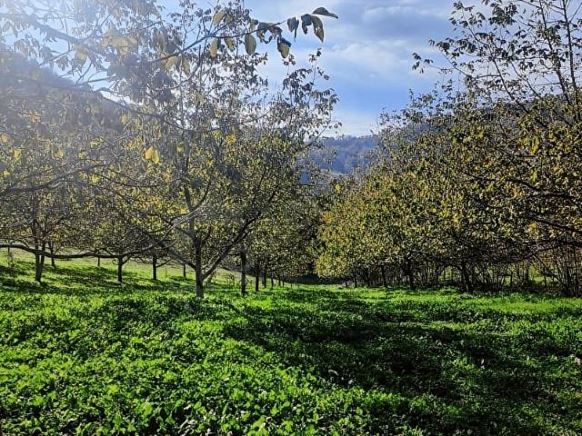 Kartepe, Kocaeli içerisinde satılık Arsa