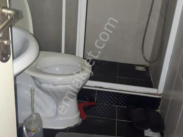 Körfez, Kocaeli içerisinde kiralık mülk