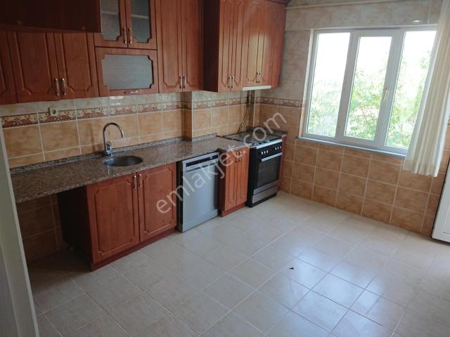 İstanbul Merkez, İstanbul içerisinde kiralık mülk