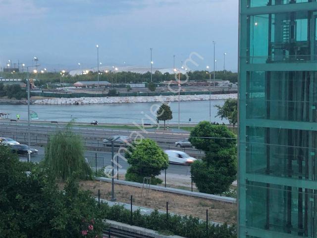 İstanbul Merkez, İstanbul içerisinde kiralık mülk