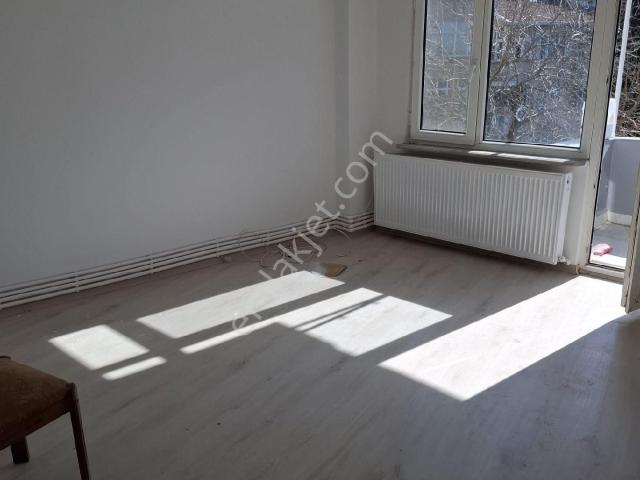 İstanbul Merkez, İstanbul içerisinde kiralık mülk